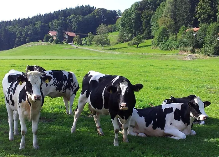 Direkt Zwischen Chiemsee U Alpen Dg Apartamento *
