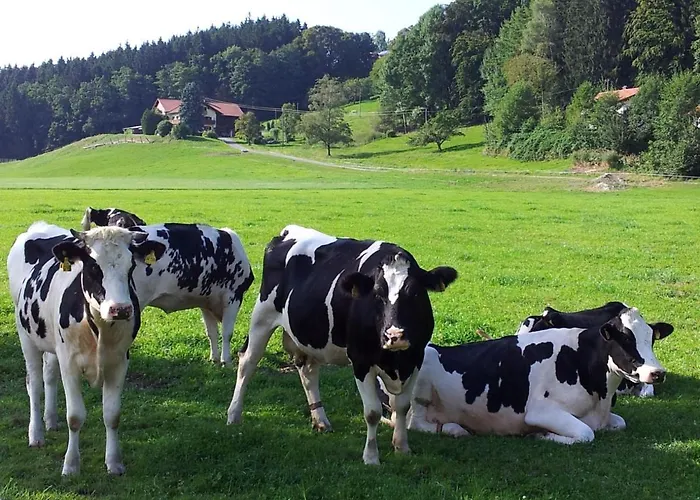 Direkt Zwischen Chiemsee U Alpen Dg Apartamento *