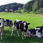 Direkt Zwischen Chiemsee U Alpen Dg Lägenhet *