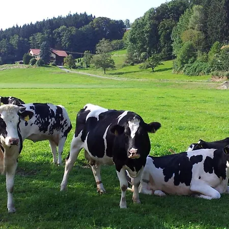 Direkt Zwischen Chiemsee U Alpen Dg Apartment *